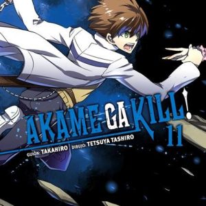 Akame Ga Kill 11