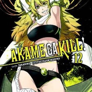 Akame Ga Kill 12